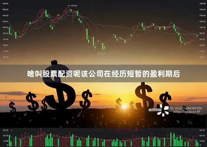 啥叫股票配资呢该公司在经历短暂的盈利期后