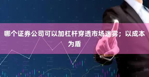 哪个证券公司可以加杠杆穿透市场迷雾；以成本为盾